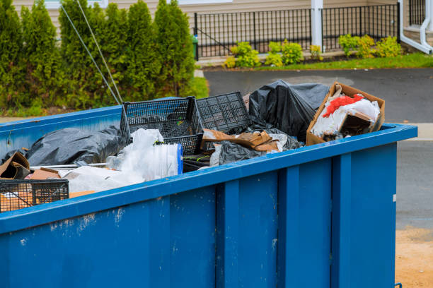 Attic Cleanout Services in Socorro, NM